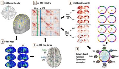 Mapping Inter-individual Functional Connectivity Variability in TMS Targets for Major Depressive Disorder